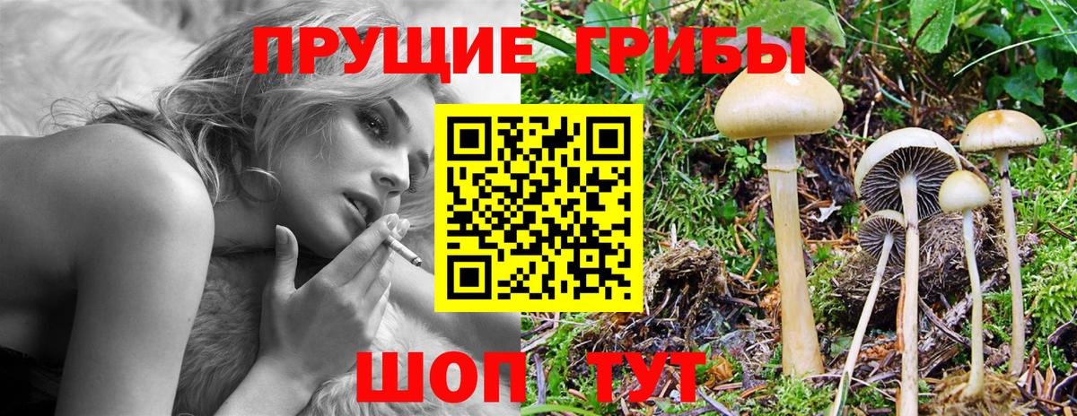 Галлюциногенные грибы Psilocybe  наркотики  Белая Калитва  Псилоцибиновые грибы ЛСД  Вход с VPN 
